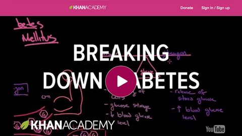 Breaking Down Diabetes - Khan Academy